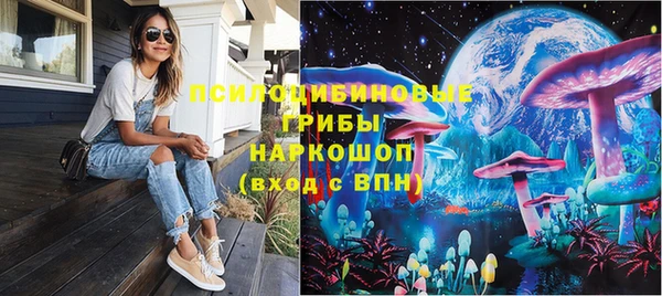 ешки Бронницы