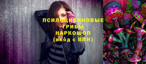 винт Бородино