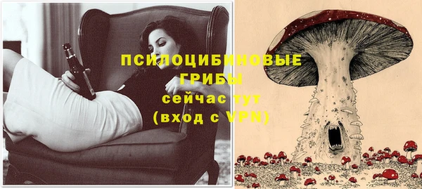 винт Бородино